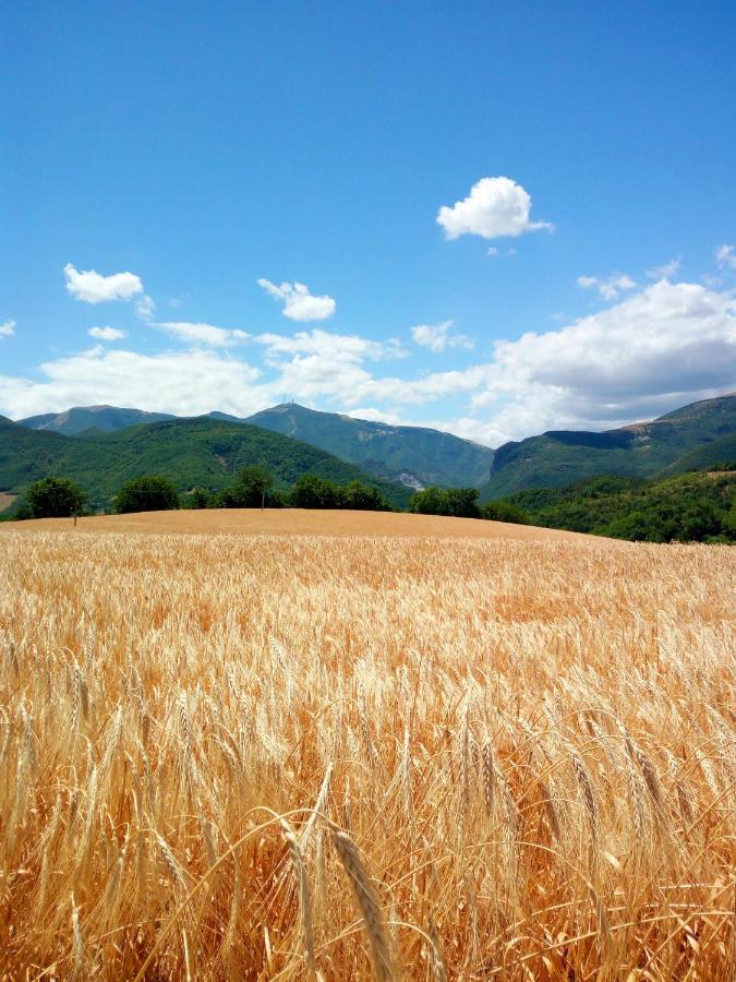 Agriturismo Del Frontino - Lo Studio أكوالاغنا المظهر الخارجي الصورة