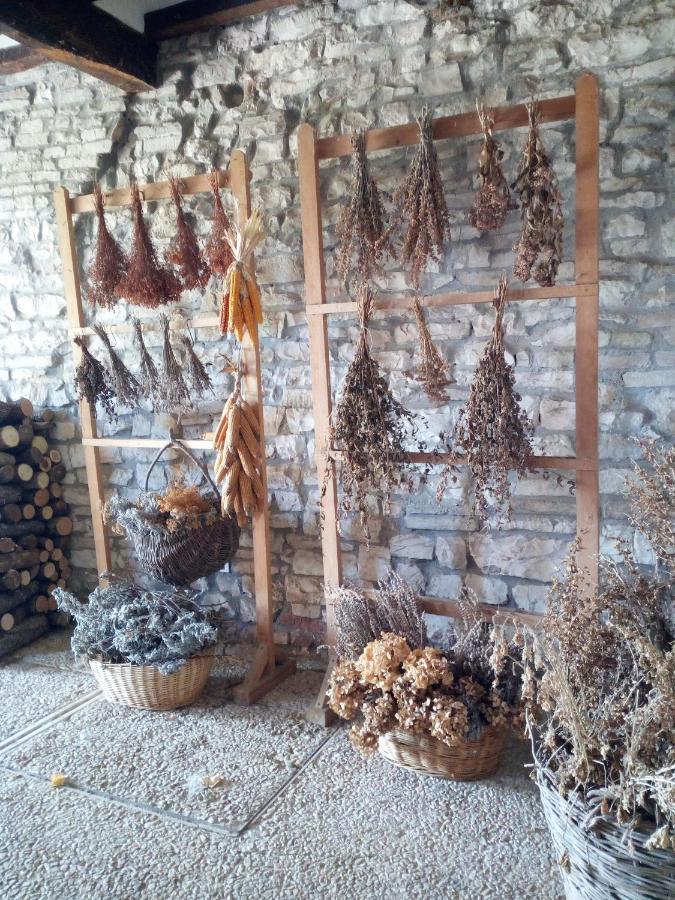 Agriturismo Del Frontino - Lo Studio أكوالاغنا المظهر الخارجي الصورة