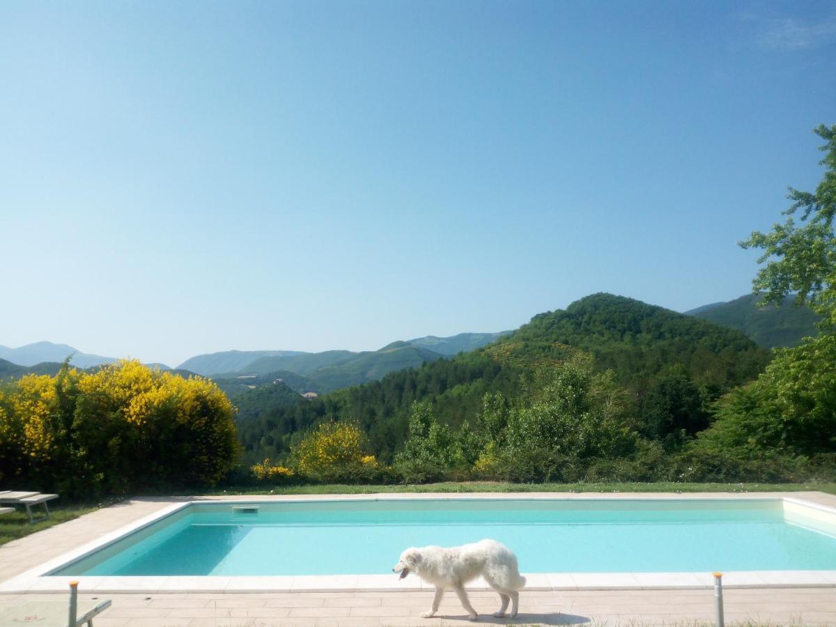 Agriturismo Del Frontino - Lo Studio أكوالاغنا المظهر الخارجي الصورة