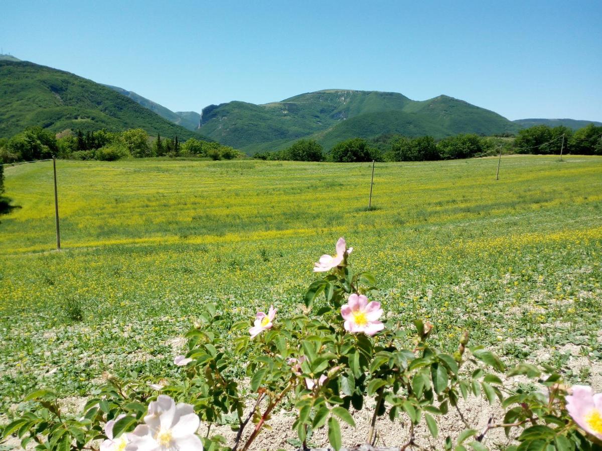 Agriturismo Del Frontino - Lo Studio أكوالاغنا المظهر الخارجي الصورة