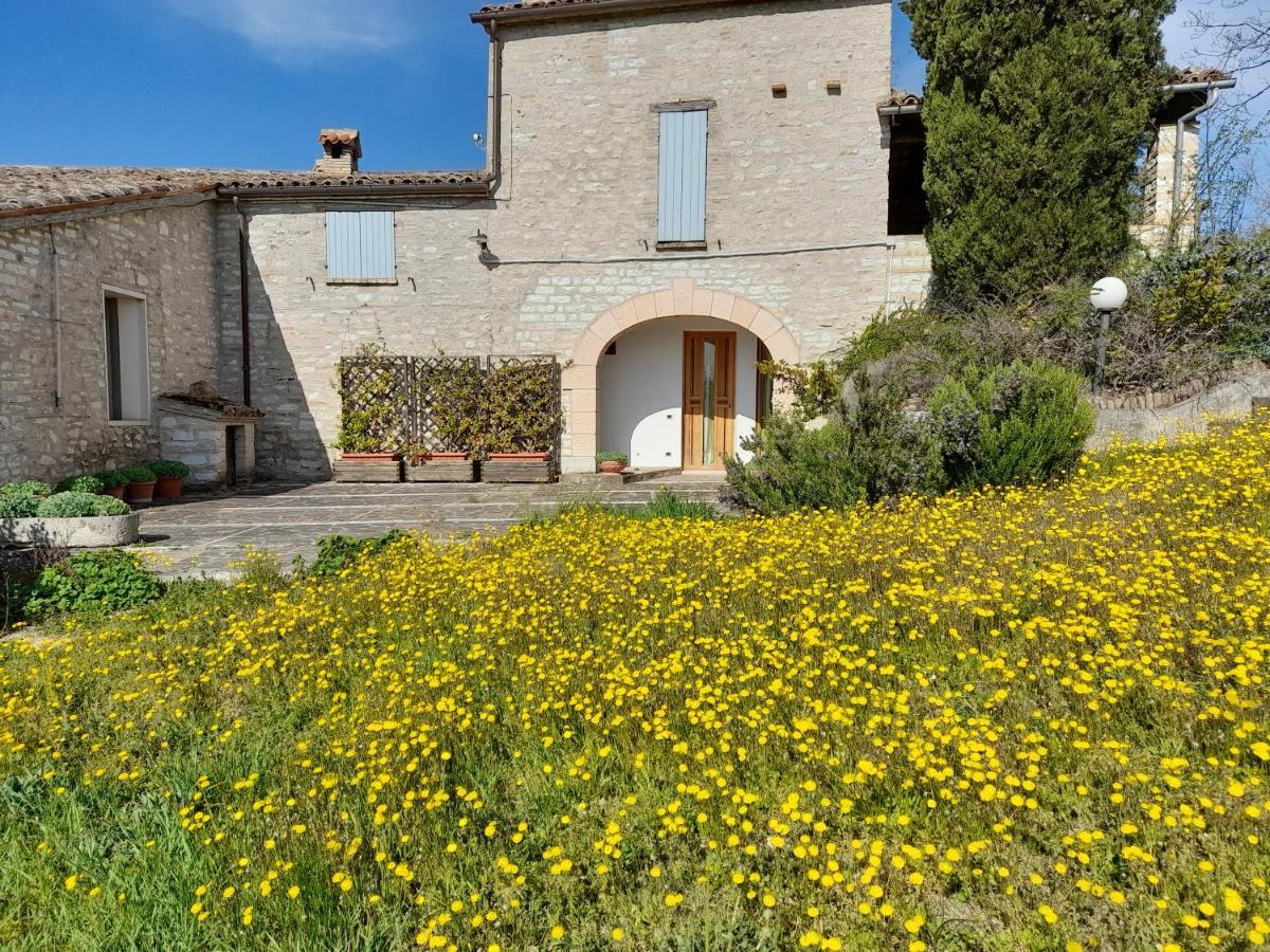 Agriturismo Del Frontino - Lo Studio أكوالاغنا المظهر الخارجي الصورة