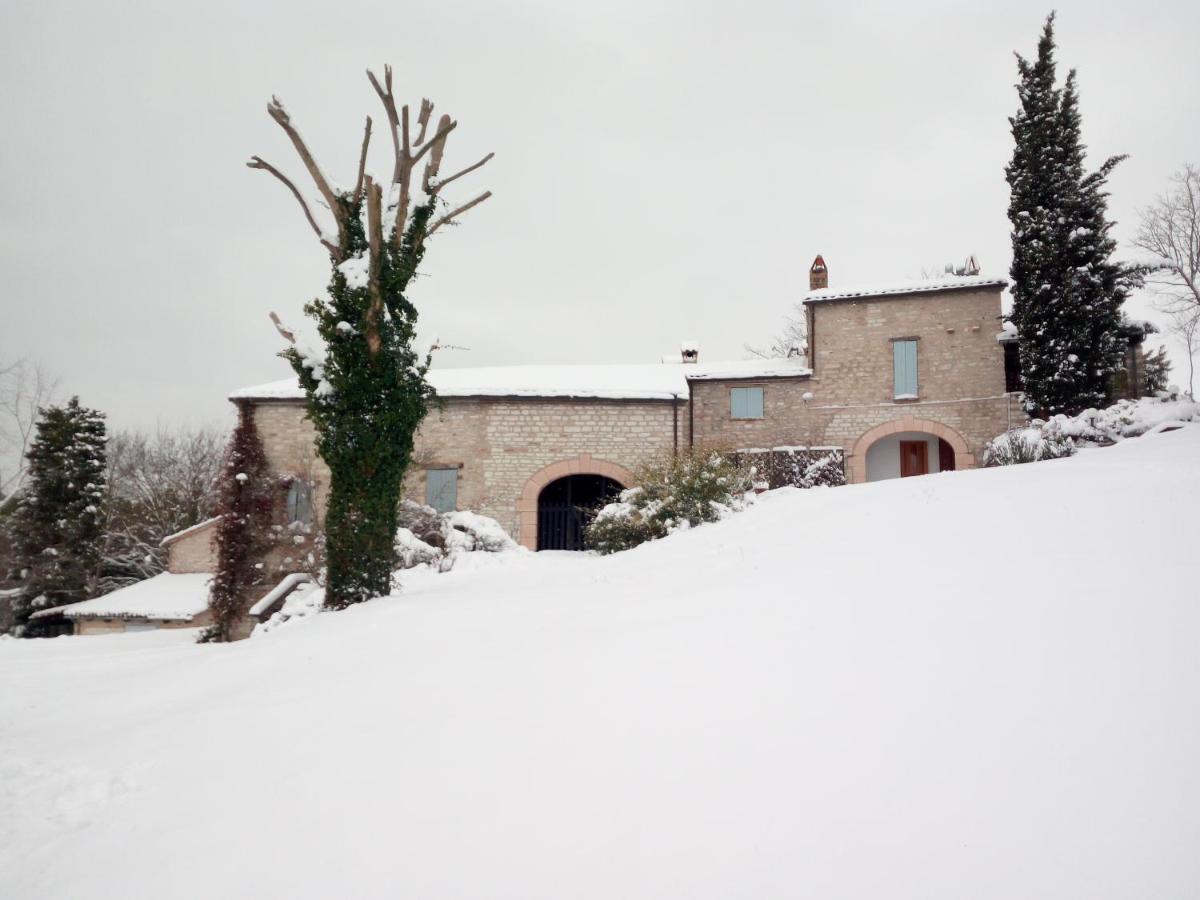 Agriturismo Del Frontino - Lo Studio أكوالاغنا المظهر الخارجي الصورة