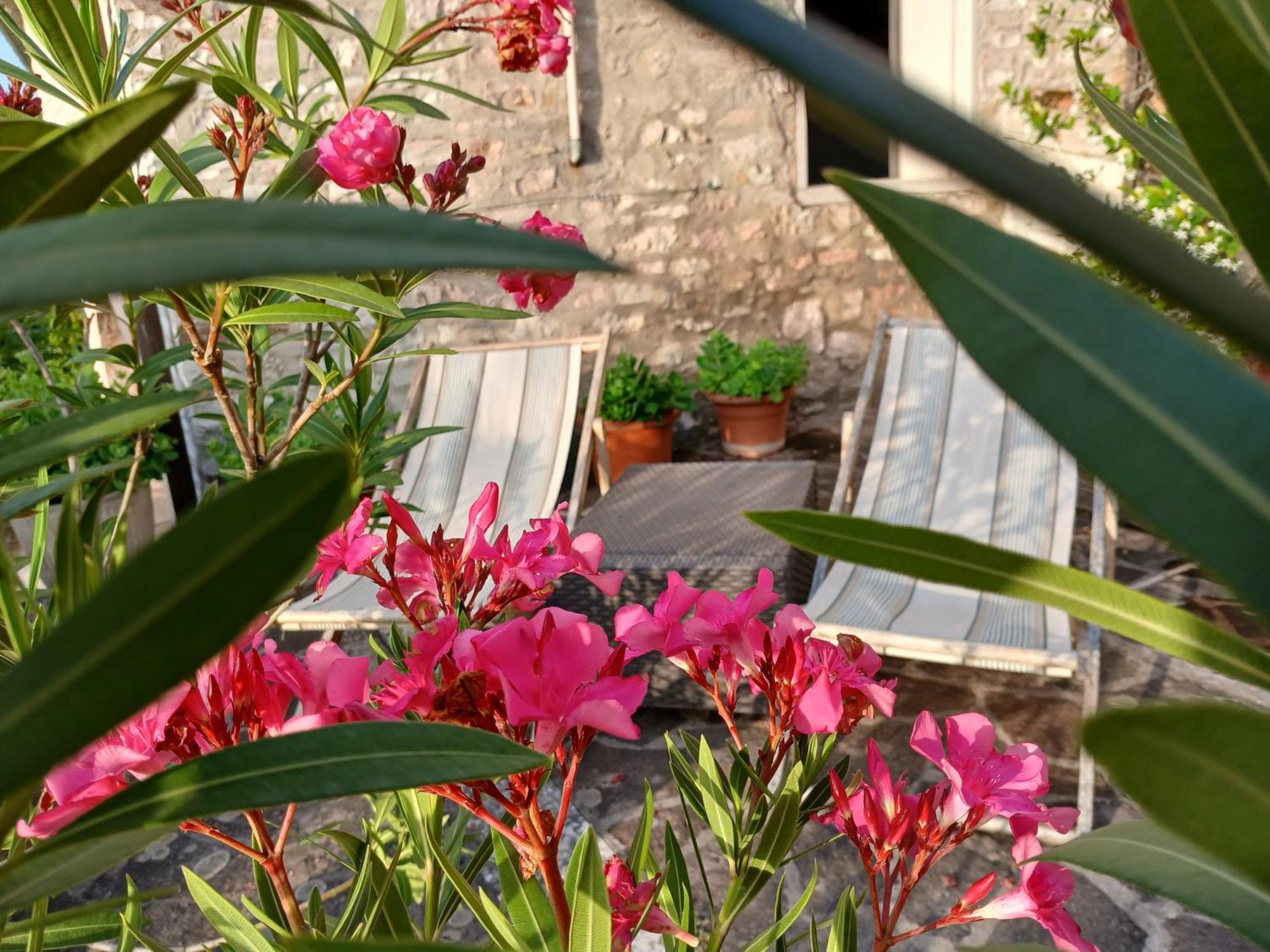 Agriturismo Del Frontino - Lo Studio أكوالاغنا المظهر الخارجي الصورة