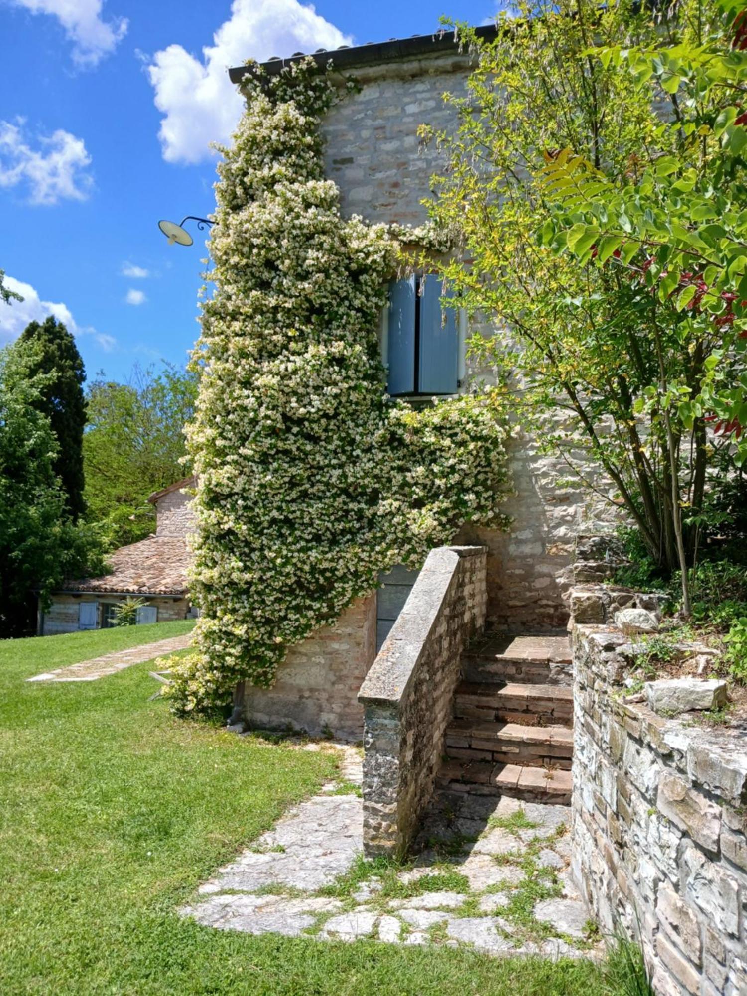 Agriturismo Del Frontino - Lo Studio أكوالاغنا المظهر الخارجي الصورة