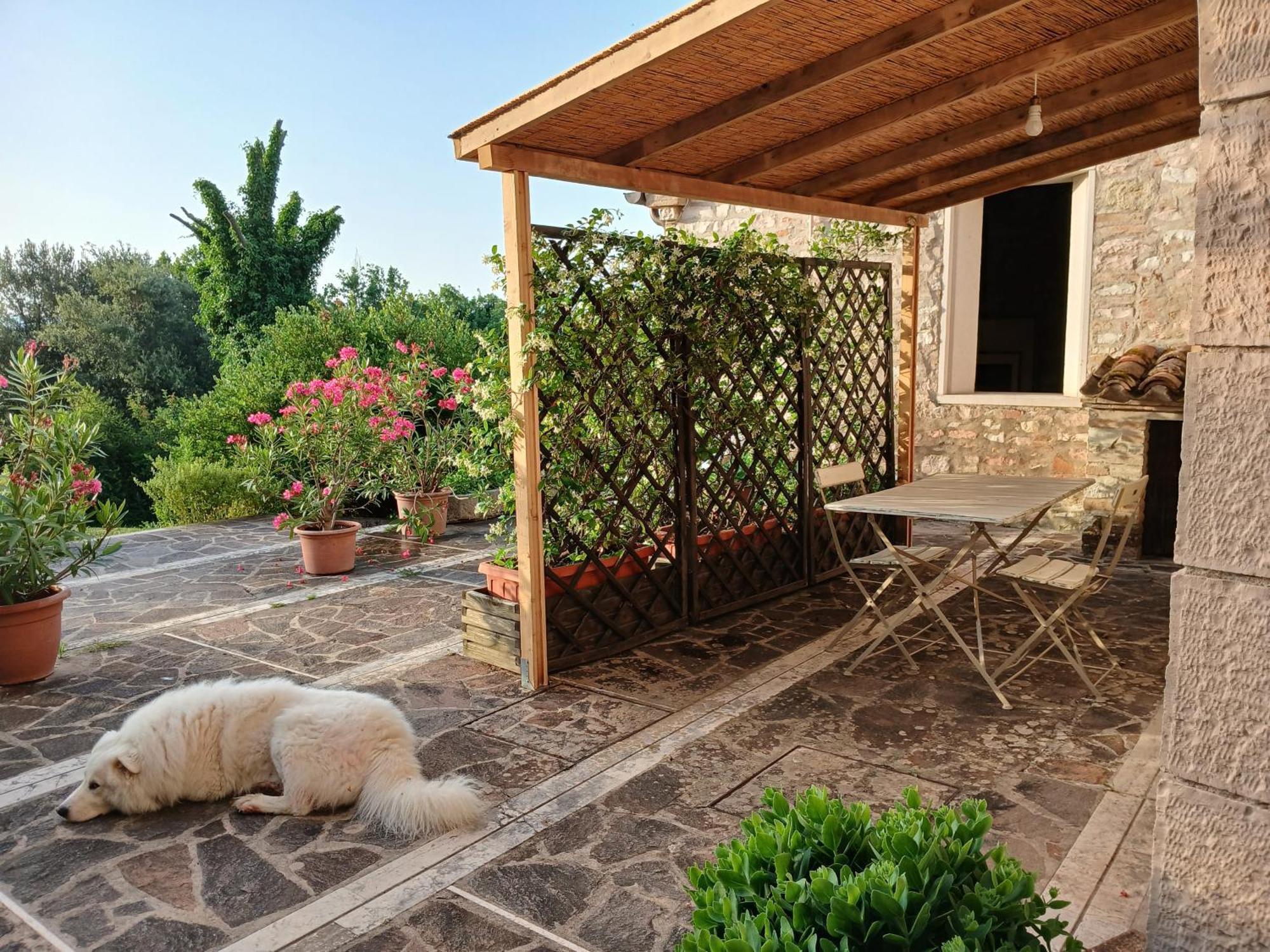 Agriturismo Del Frontino - Lo Studio أكوالاغنا المظهر الخارجي الصورة