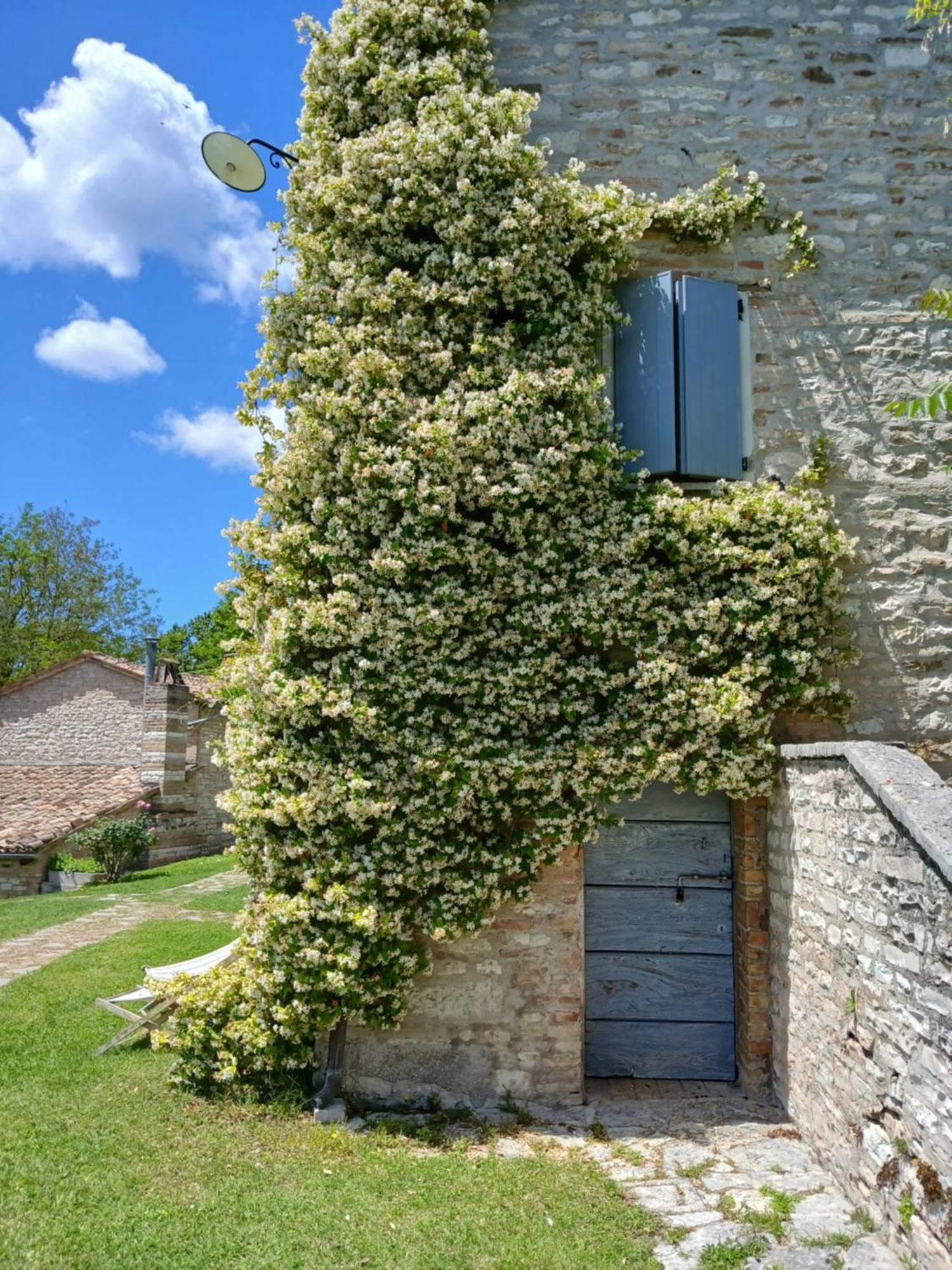 Agriturismo Del Frontino - Lo Studio أكوالاغنا المظهر الخارجي الصورة