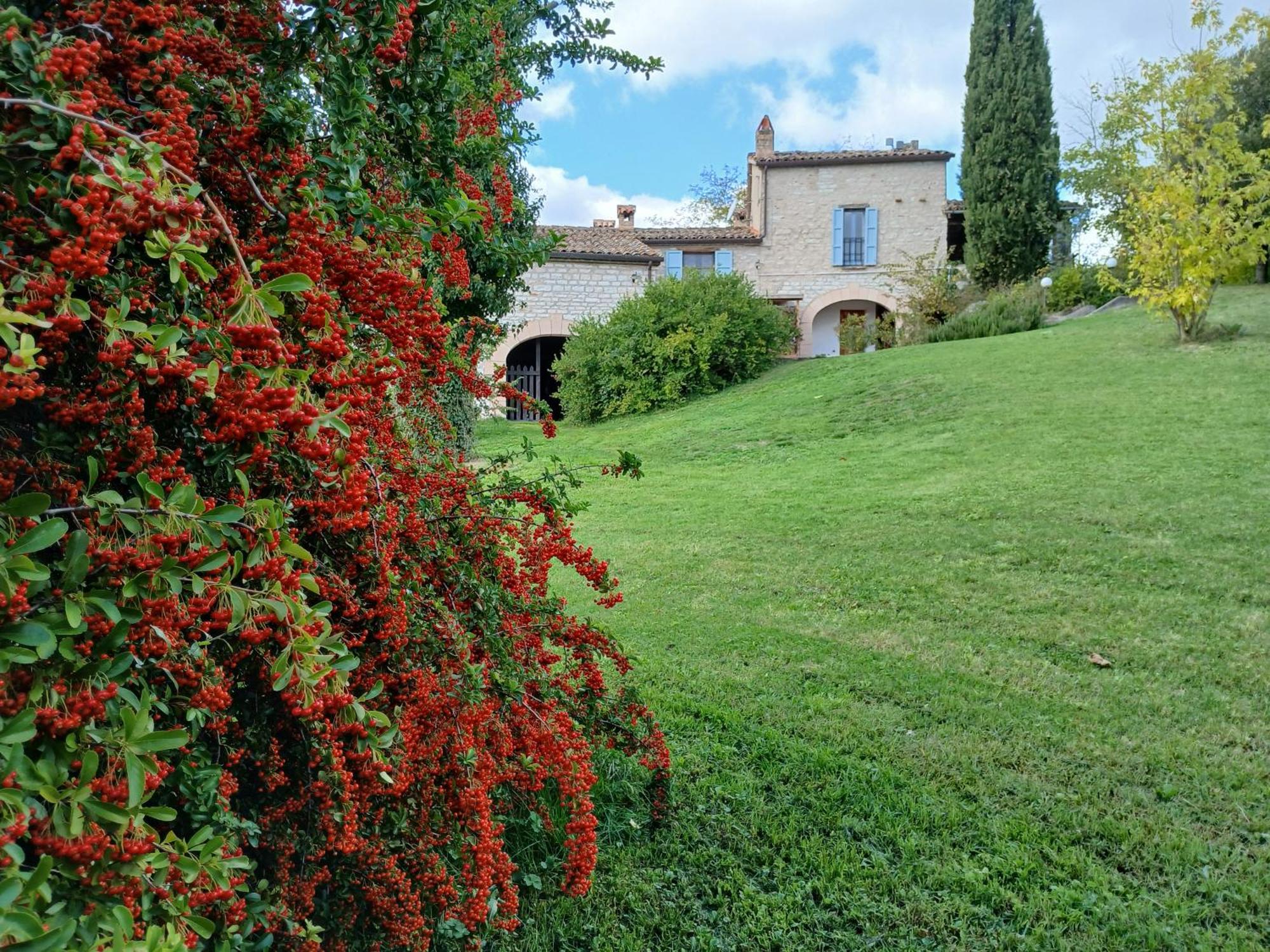 Agriturismo Del Frontino - Lo Studio أكوالاغنا المظهر الخارجي الصورة